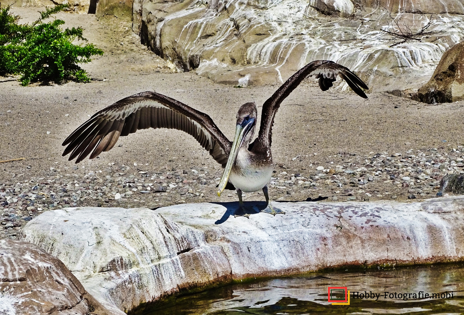 Tierfotografie