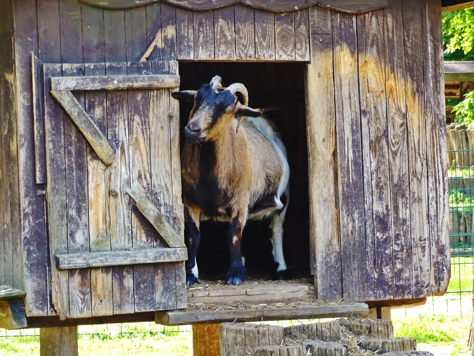  Wildpark Frankfurt  Oder 