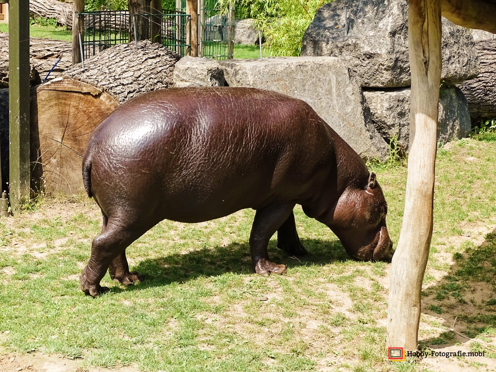 Zoo Rostock